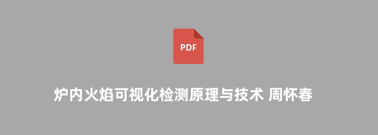 炉内火焰可视化检测原理与技术 周怀春著